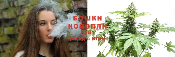 ПСИЛОЦИБИНОВЫЕ ГРИБЫ Верея