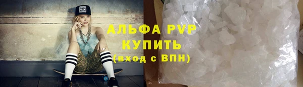 ПСИЛОЦИБИНОВЫЕ ГРИБЫ Верея
