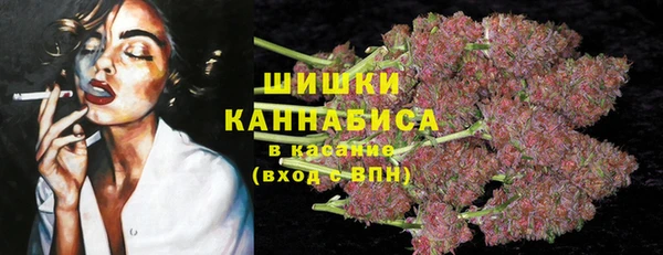 ПСИЛОЦИБИНОВЫЕ ГРИБЫ Верея