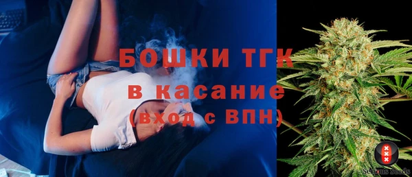 ПСИЛОЦИБИНОВЫЕ ГРИБЫ Верея