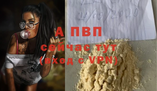 ПСИЛОЦИБИНОВЫЕ ГРИБЫ Верея